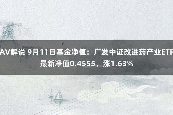 AV解说 9月11日基金净值：广发中证改进药产业ETF最新净值0.4555，涨1.63%