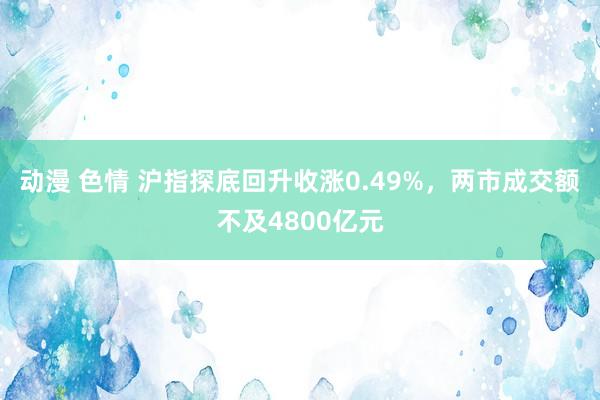 动漫 色情 沪指探底回升收涨0.49%，两市成交额不及480