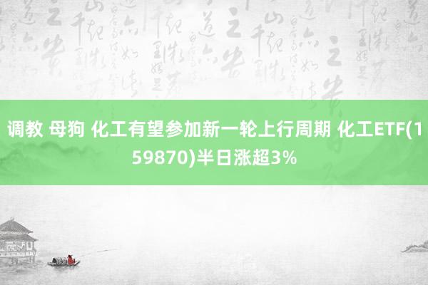 调教 母狗 化工有望参加新一轮上行周期 化工ETF(159870)半日涨超3%