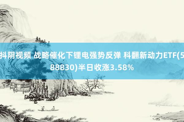 抖阴视频 战略催化下锂电强势反弹 科翻新动力ETF(588830)半日收涨3.58%