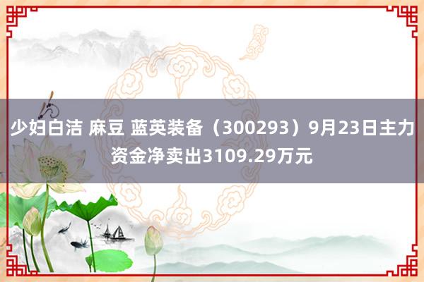 少妇白洁 麻豆 蓝英装备（300293）9月23日主力资金净卖出3109.29万元