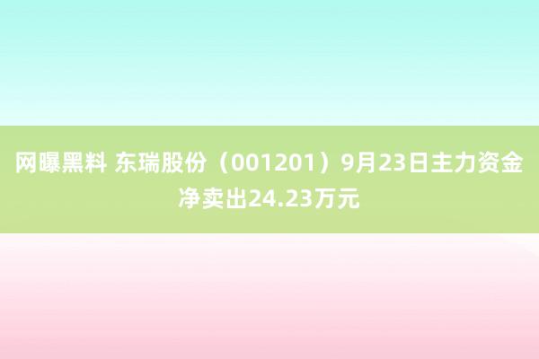 网曝黑料 东瑞股份（001201）9月23日主力资金净卖出24.23万元