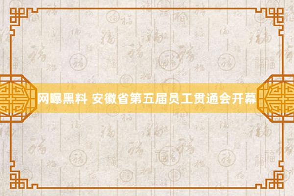 网曝黑料 安徽省第五届员工贯通会开幕