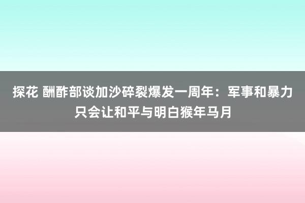 探花 酬酢部谈加沙碎裂爆发一周年：军事和暴力只会让和平与明白猴年马月