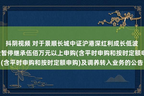 抖阴视频 对于景顺长城中证沪港深红利成长低波动指数型证券投资基金暂停继承伍佰万元以上申购(含平时申购和按时定额申购)及调养转入业务的公告