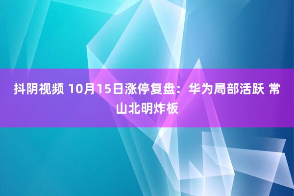 抖阴视频 10月15日涨停复盘：华为局部活跃 常山北明炸板