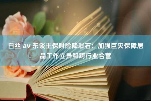 白丝 av 东谈主保财险降彩石：加强巨灾保障居品工作立异和跨行业合营