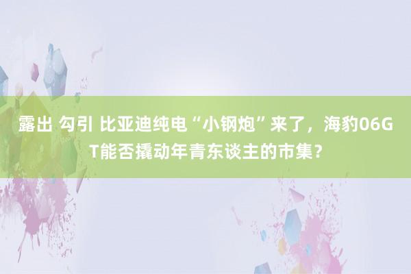 露出 勾引 比亚迪纯电“小钢炮”来了，海豹06GT能否撬动年青东谈主的市集？