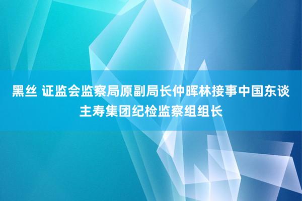 黑丝 证监会监察局原副局长仲晖林接事中国东谈主寿集团纪检监察组组长