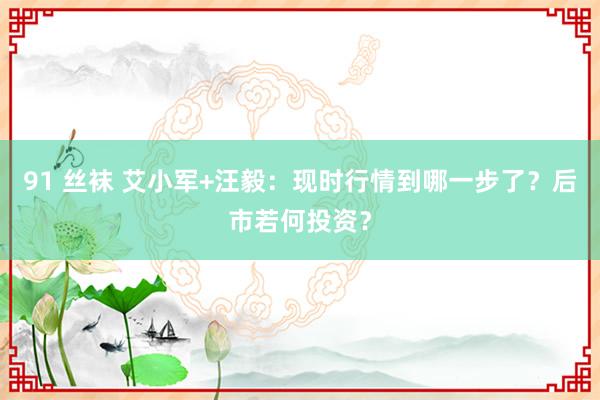 91 丝袜 艾小军+汪毅：现时行情到哪一步了？后市若何投资？