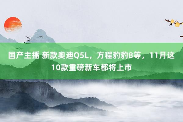 国产主播 新款奥迪Q5L，方程豹豹8等，11月这10款重磅新车都将上市