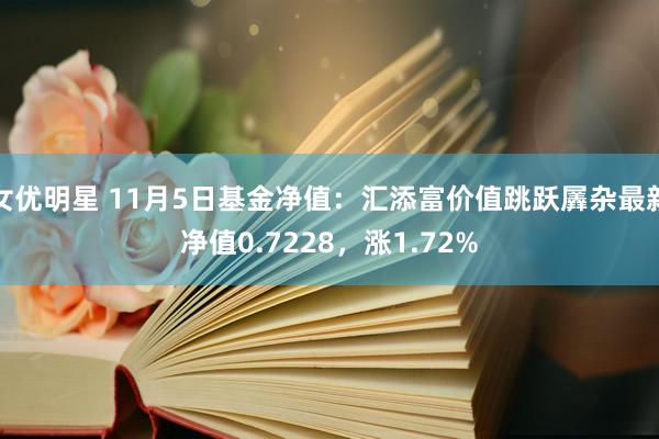 女优明星 11月5日基金净值：汇添富价值跳跃羼杂最新净值0.7228，涨1.72%