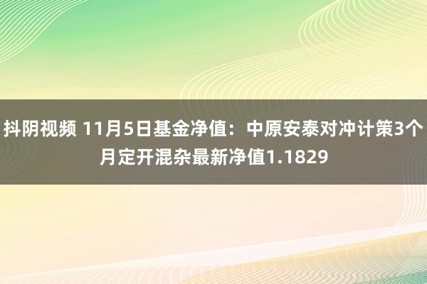 抖阴视频 11月5日基金净值：中原安泰对冲计策3个月定开混杂最新净值1.1829