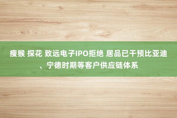 瘦猴 探花 致远电子IPO拒绝 居品已干预比亚迪、宁德时期等