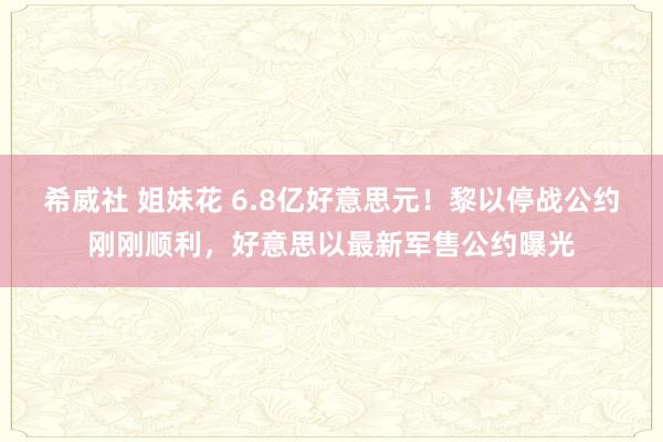 希威社 姐妹花 6.8亿好意思元！黎以停战公约刚刚顺利，好意思以最新军售公约曝光