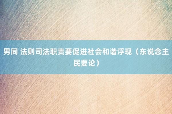 男同 法则司法职责要促进社会和谐浮现（东说念主民要论）