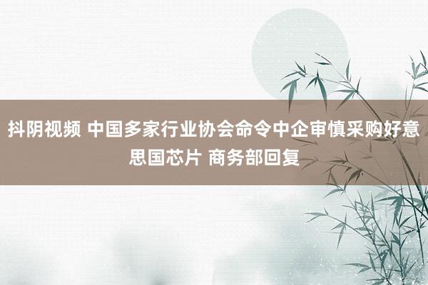 抖阴视频 中国多家行业协会命令中企审慎采购好意思国芯片 商务部回复