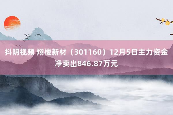 抖阴视频 翔楼新材（301160）12月5日主力资金净卖出846.87万元