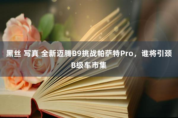 黑丝 写真 全新迈腾B9挑战帕萨特Pro，谁将引颈B级车市集