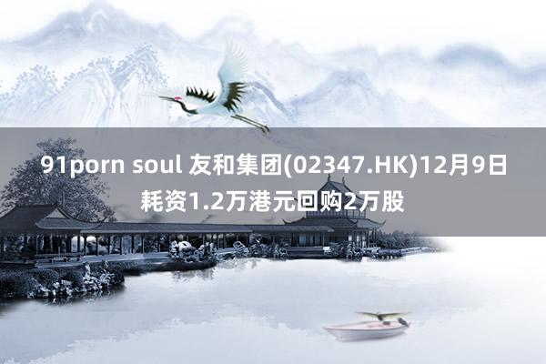 91porn soul 友和集团(02347.HK)12月9日耗资1.2万港元回购2万股