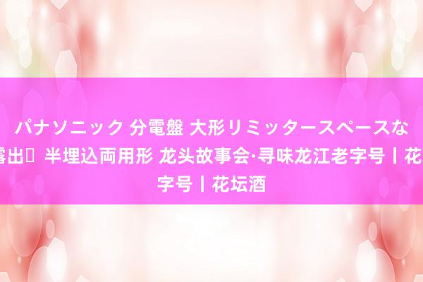 パナソニック 分電盤 大形リミッタースペースなし 露出・半埋込両用形 龙头故事会·寻味龙江老字号丨花坛酒