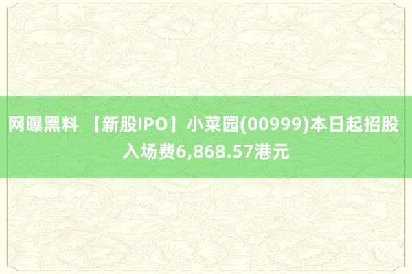 网曝黑料 【新股IPO】小菜园(00999)本日起招股 入场费6，868.57港元