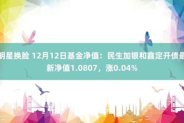 明星换脸 12月12日基金净值：民生加银和鑫定开债最新净值1.0807，涨0.04%