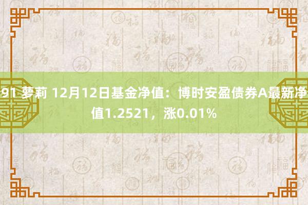 91 萝莉 12月12日基金净值：博时安盈债券A最新净值1.2521，涨0.01%