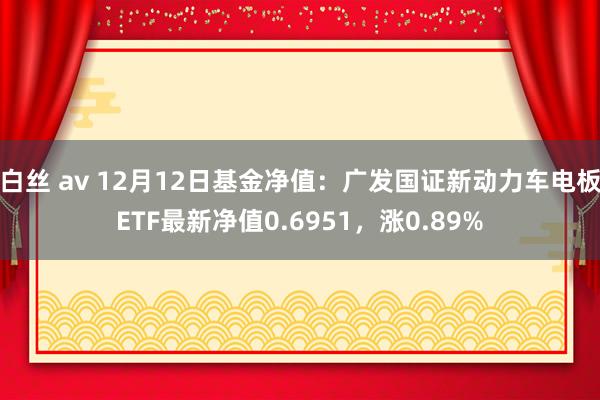 白丝 av 12月12日基金净值：广发国证新动力车电板ETF最新净值0.6951，涨0.89%