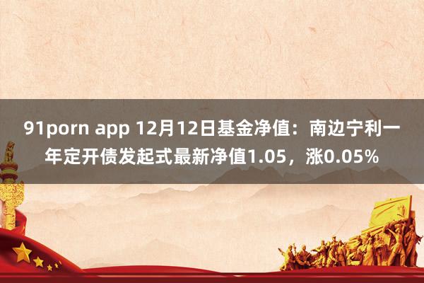 91porn app 12月12日基金净值：南边宁利一年定开债发起式最新净值1.05，涨0.05%