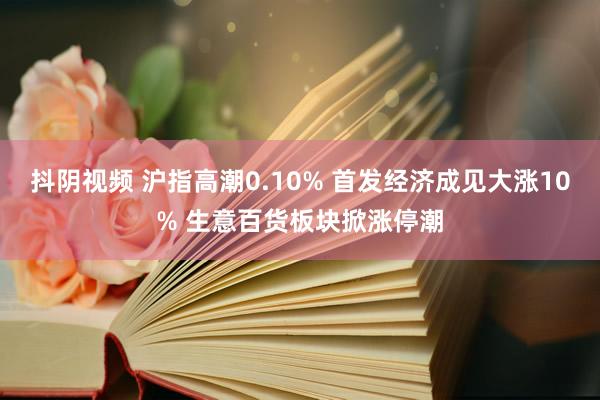 抖阴视频 沪指高潮0.10% 首发经济成见大涨10% 生意百货板块掀涨停潮