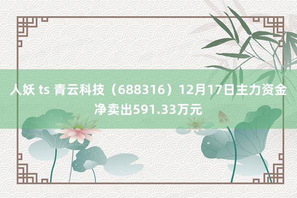 人妖 ts 青云科技（688316）12月17日主力资金净卖出591.33万元