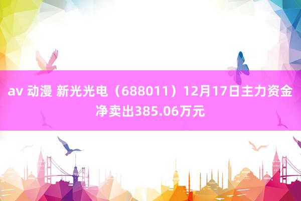 av 动漫 新光光电（688011）12月17日主力资金净卖出385.06万元