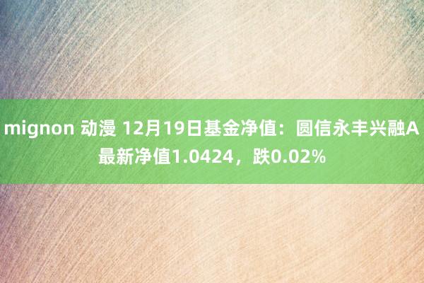 mignon 动漫 12月19日基金净值：圆信永丰兴融A最新净值1.0424，跌0.02%