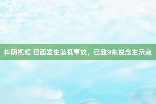 抖阴视频 巴西发生坠机事故，已致9东说念主示寂