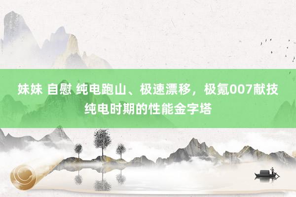 妹妹 自慰 纯电跑山、极速漂移，极氪007献技纯电时期的性能金字塔