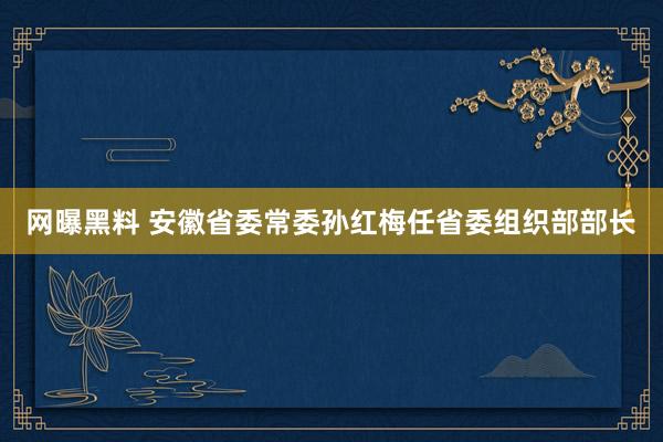 网曝黑料 安徽省委常委孙红梅任省委组织部部长