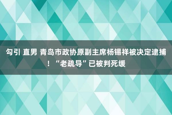 勾引 直男 青岛市政协原副主席杨锡祥被决定逮捕！“老疏导”已被判死缓