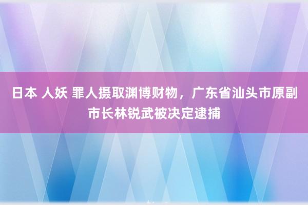 日本 人妖 罪人摄取渊博财物，广东省汕头市原副市长林锐武被决定逮捕