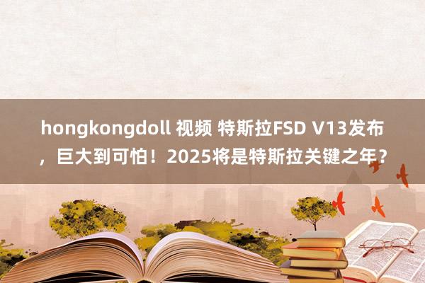 hongkongdoll 视频 特斯拉FSD V13发布，巨