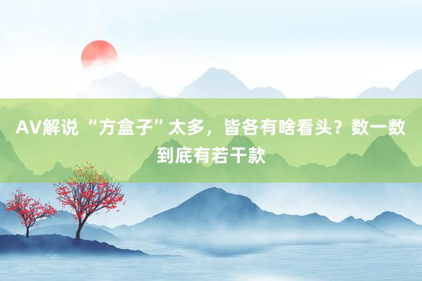 AV解说 “方盒子”太多，皆各有啥看头？数一数到底有若干款