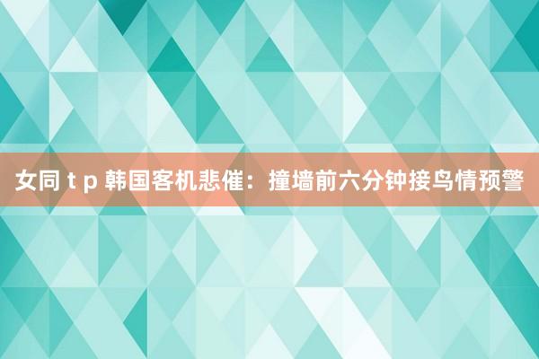 女同 t p 韩国客机悲催：撞墙前六分钟接鸟情预警