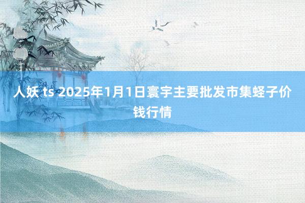 人妖 ts 2025年1月1日寰宇主要批发市集蛏子价钱行情