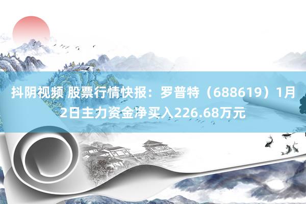 抖阴视频 股票行情快报：罗普特（688619）1月2日主力资