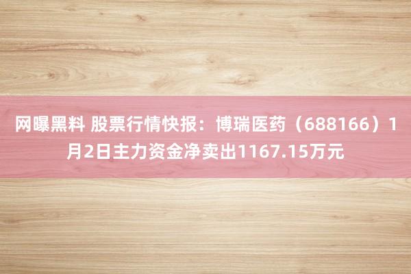 网曝黑料 股票行情快报：博瑞医药（688166）1月2日主力