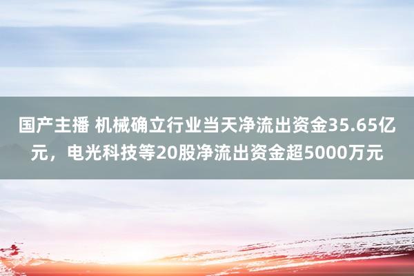 国产主播 机械确立行业当天净流出资金35.65亿元，电光科技