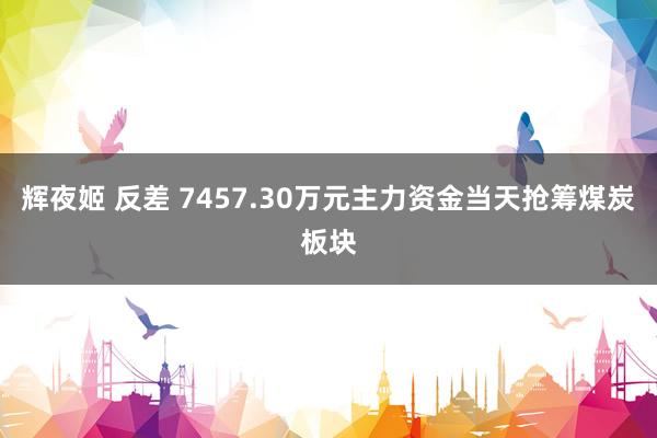 辉夜姬 反差 7457.30万元主力资金当天抢筹煤炭板块