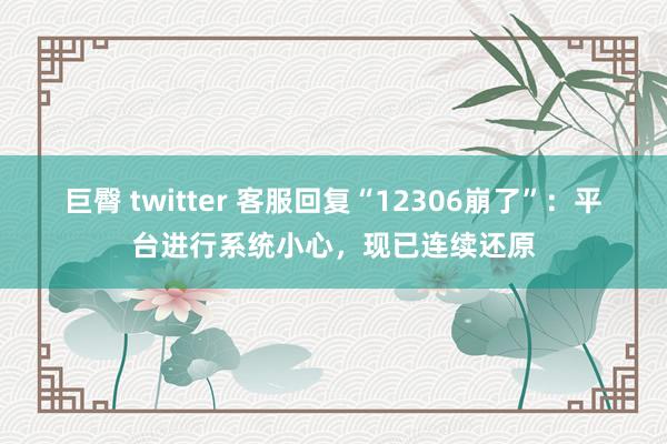 巨臀 twitter 客服回复“12306崩了”：平台进行系统小心，现已连续还原