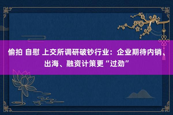 偷拍 自慰 上交所调研破钞行业：企业期待内销、出海、融资计策