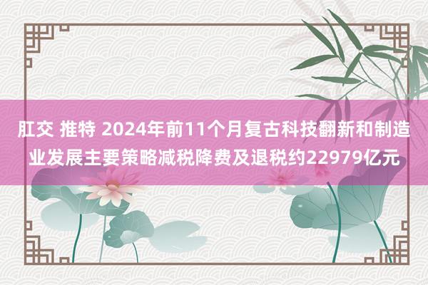 肛交 推特 2024年前11个月复古科技翻新和制造业发展主要